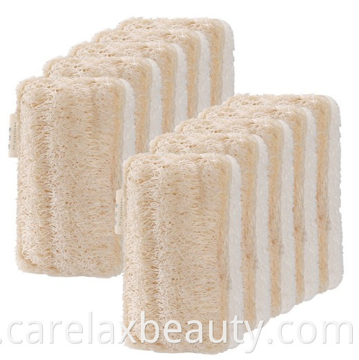 Éco-Sponge Sponge Cellulose et Loofah Sponge pour plat